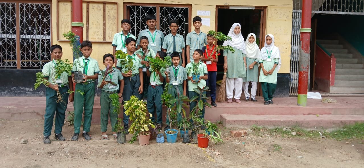 Tree plantation