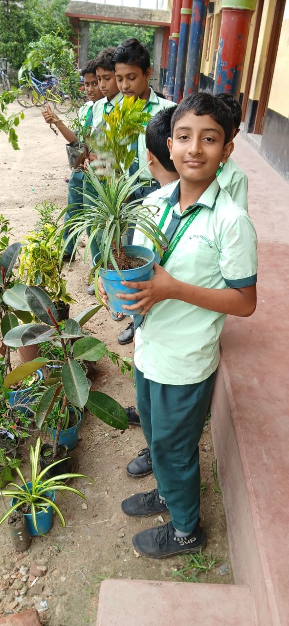 Tree plantation